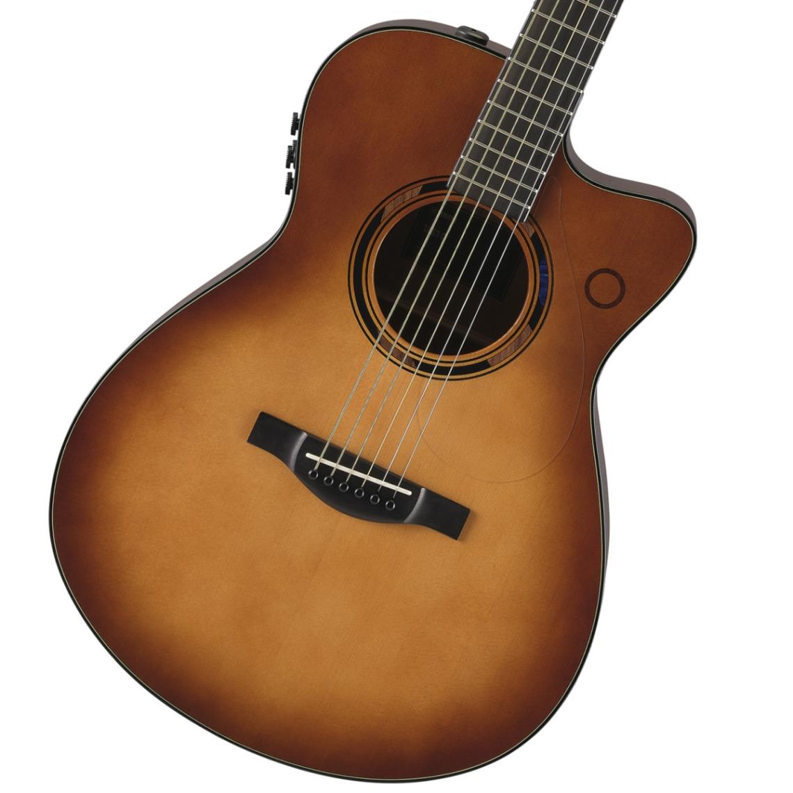 ブルー (アコギ・エレアコ × サンバースト)の検索結果 | ギター