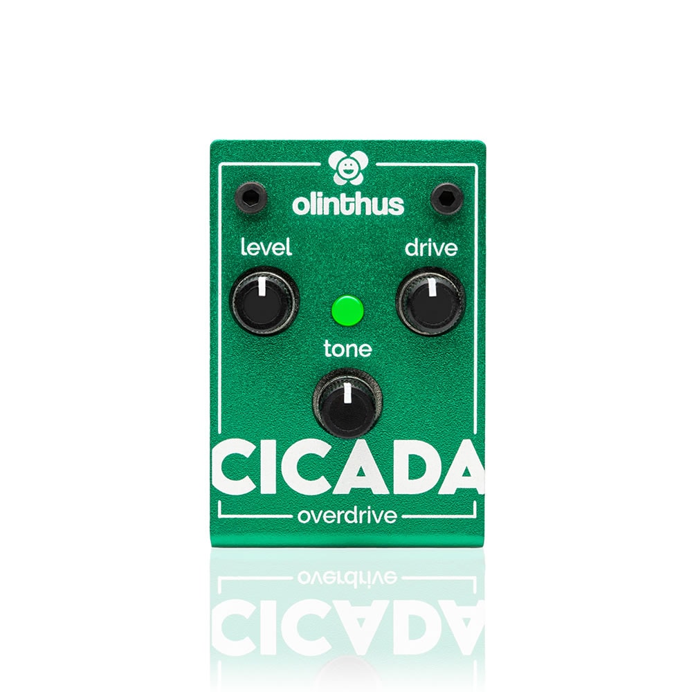Olinthus オリンサス / CICADA オーバードライブ【国内正規品】【新宿店】