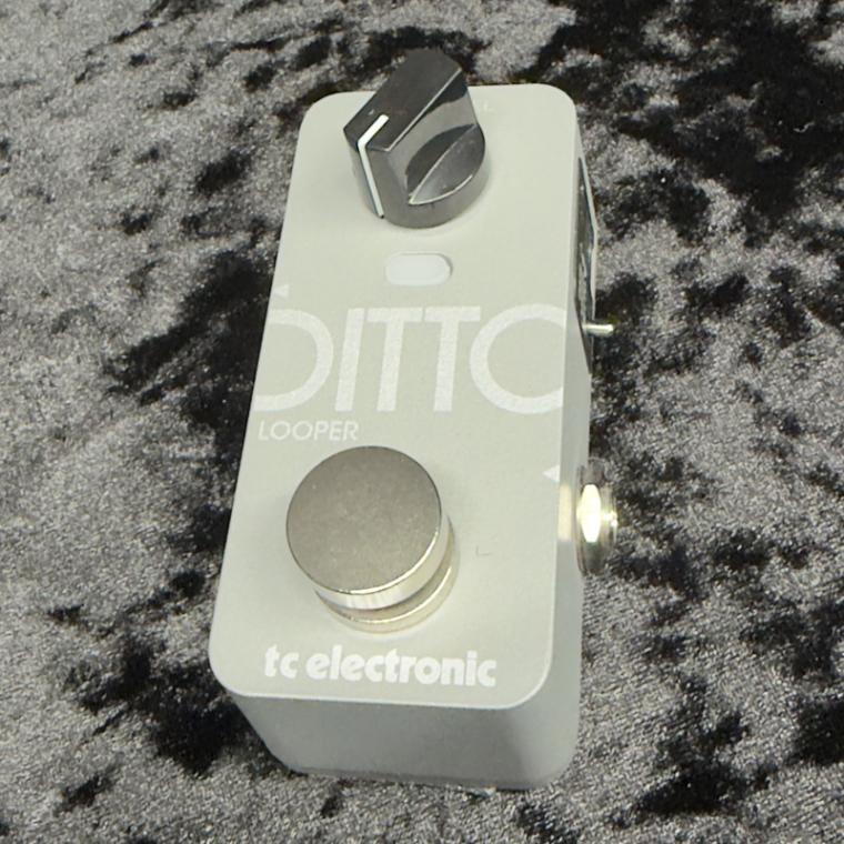 中古】TC ELECTRONIC / DITTO 2 LOOPER 【新宿店】 | ループサンプラー