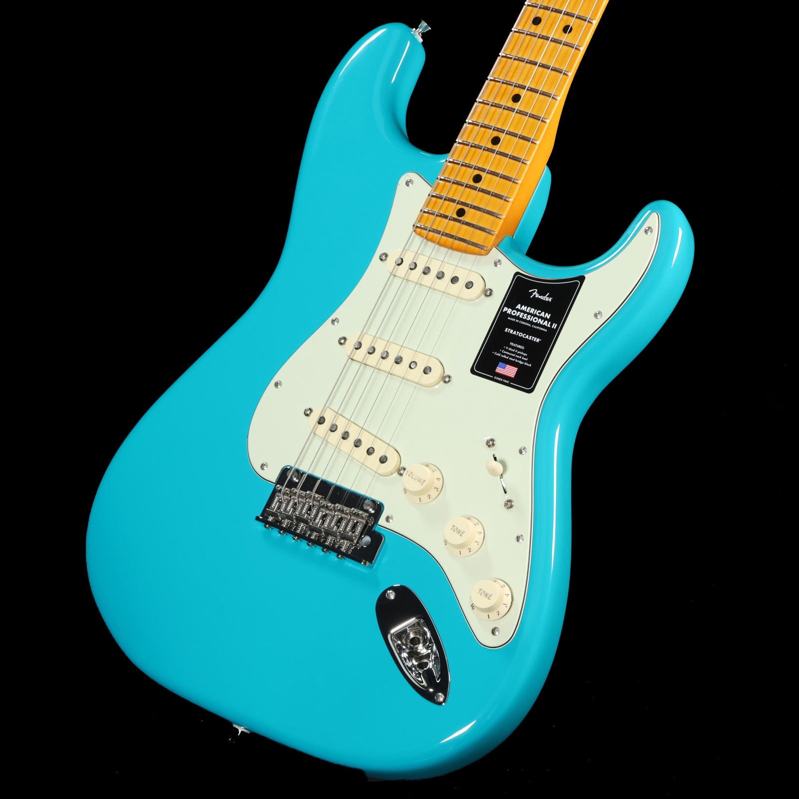 WEBSHOPクリアランスセール》Fender / American Professional II