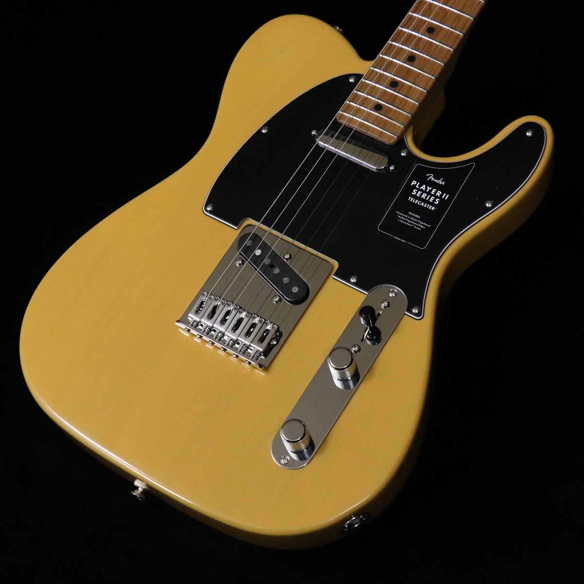 テレキャスタータイプ × FENDER MEXICO)の検索結果 | ギター、アコギ