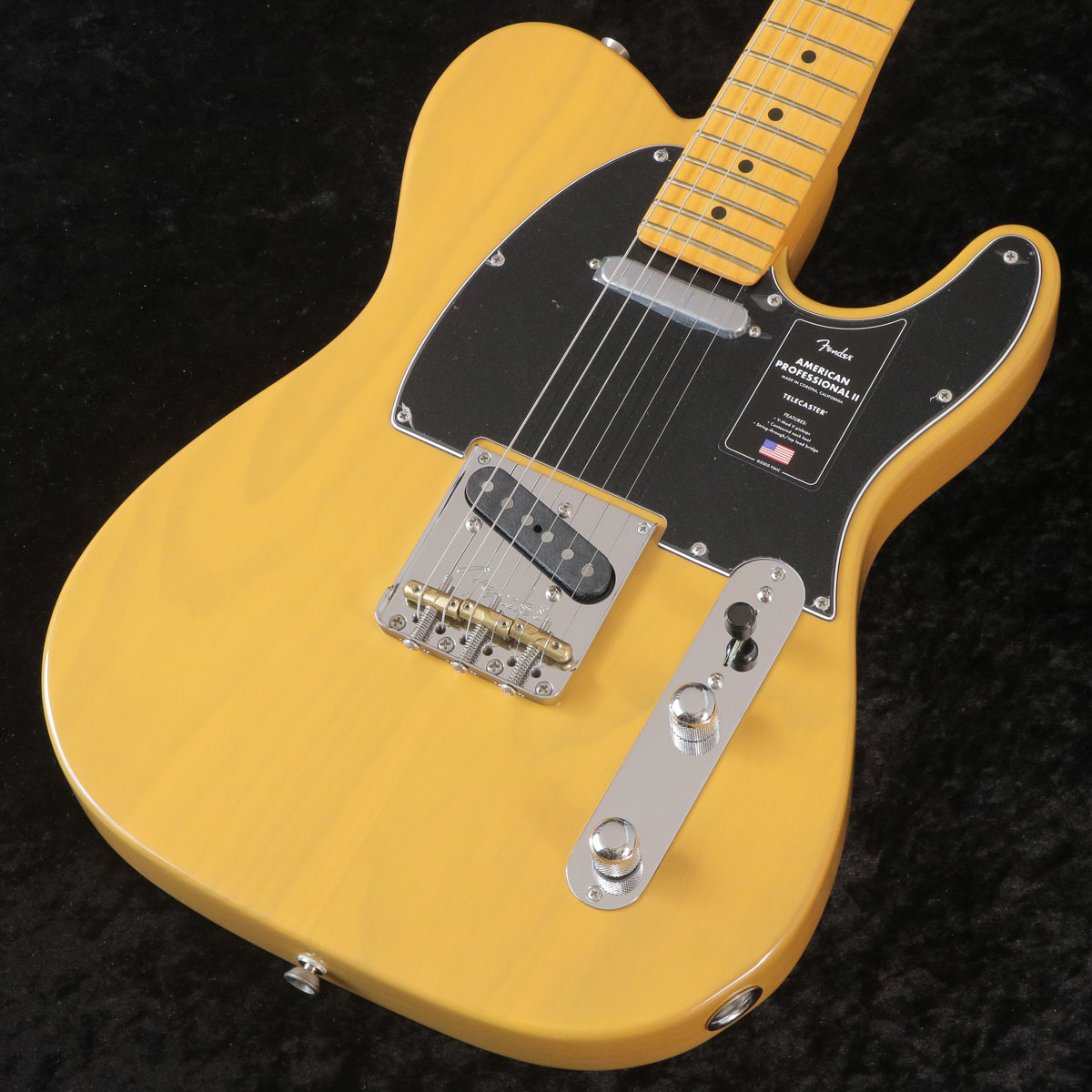 Fender American Professional Telecasterの検索結果 | ギター、アコギ