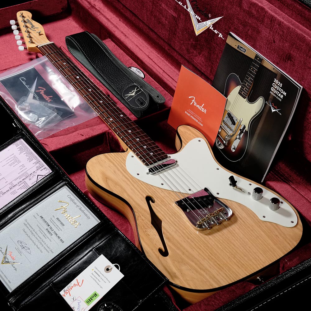 Telecaster Thinline (テレキャスタータイプ)の検索結果 | ギター