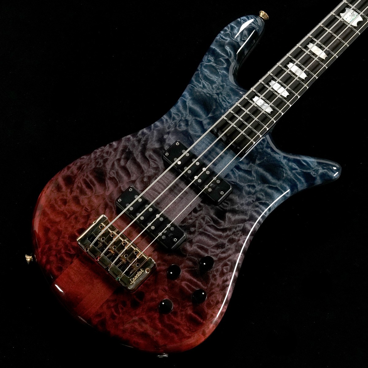 その他タイプ × SPECTOR)の検索結果 | ギター、アコギ、管楽器などを