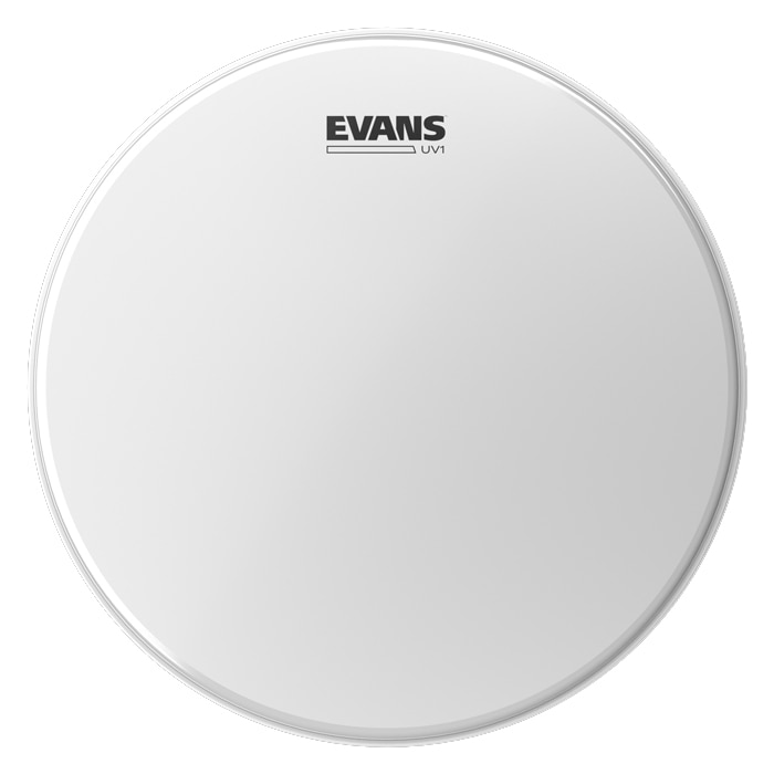 EVANS / B14UV1 Coated Drumhead Single-ply, 10mil 【福岡店】