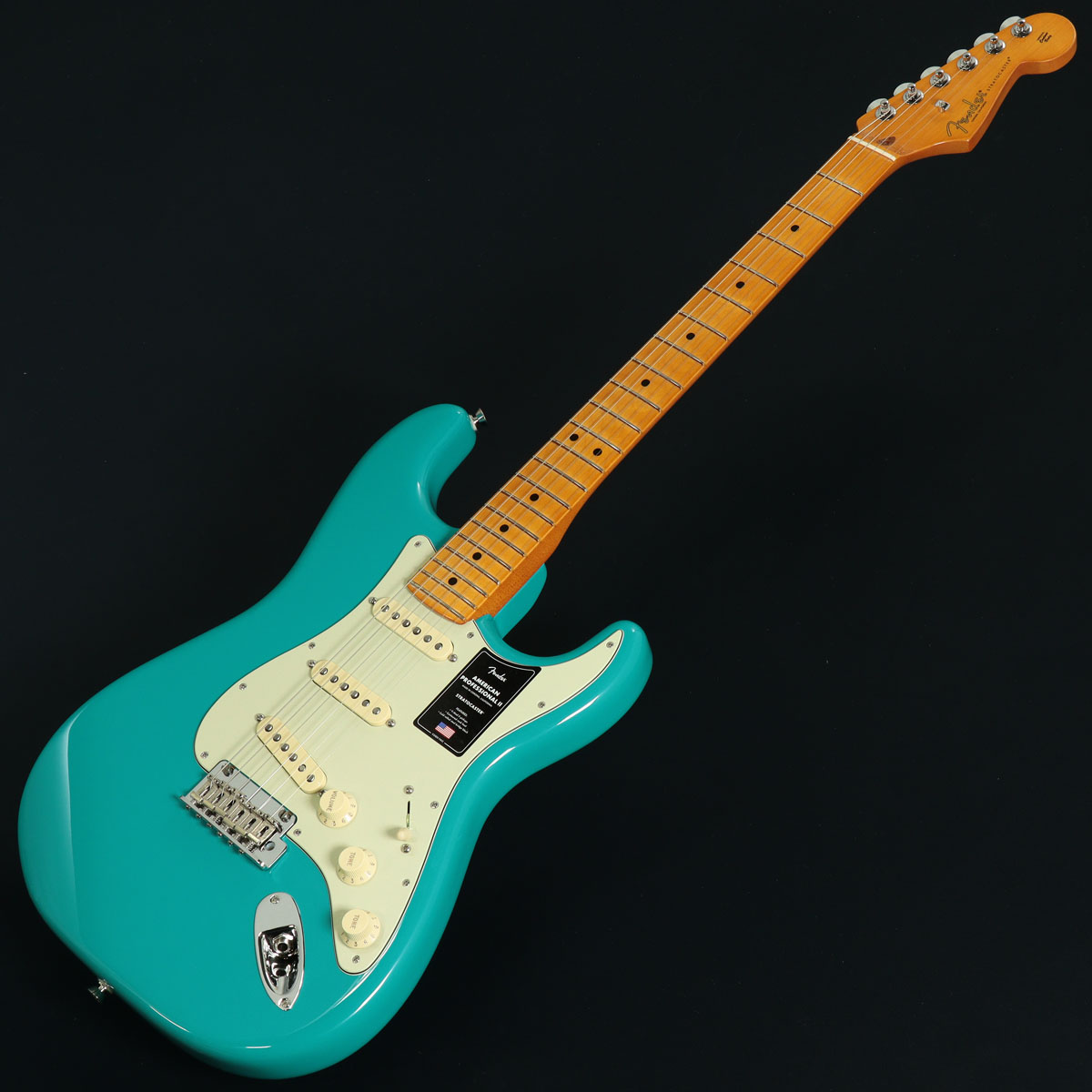 ストラトキャスタータイプ × FENDER × 池袋店)の検索結果 | ギター