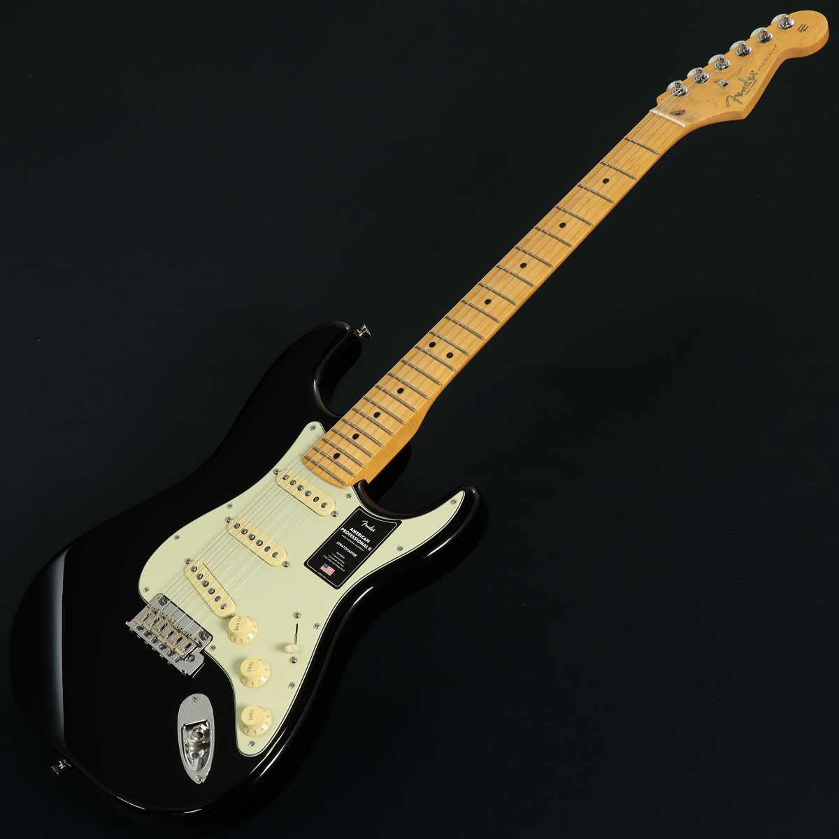 ストラトキャスタータイプ × FENDER × ブラック)の検索結果 | ギター