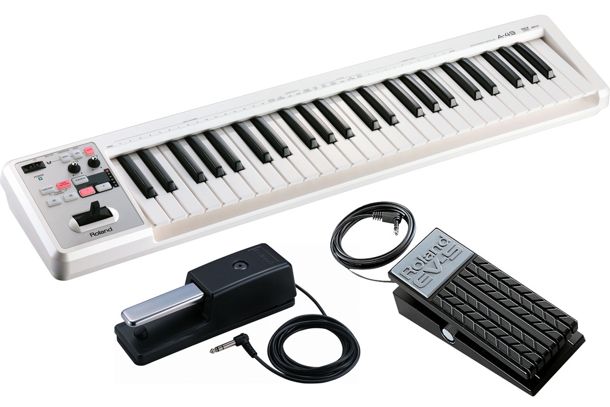 Roland / A-49 WH ダンパーペダル(DP-10)＆エクスプレッションペダル(EV-5)セット【渋谷店】