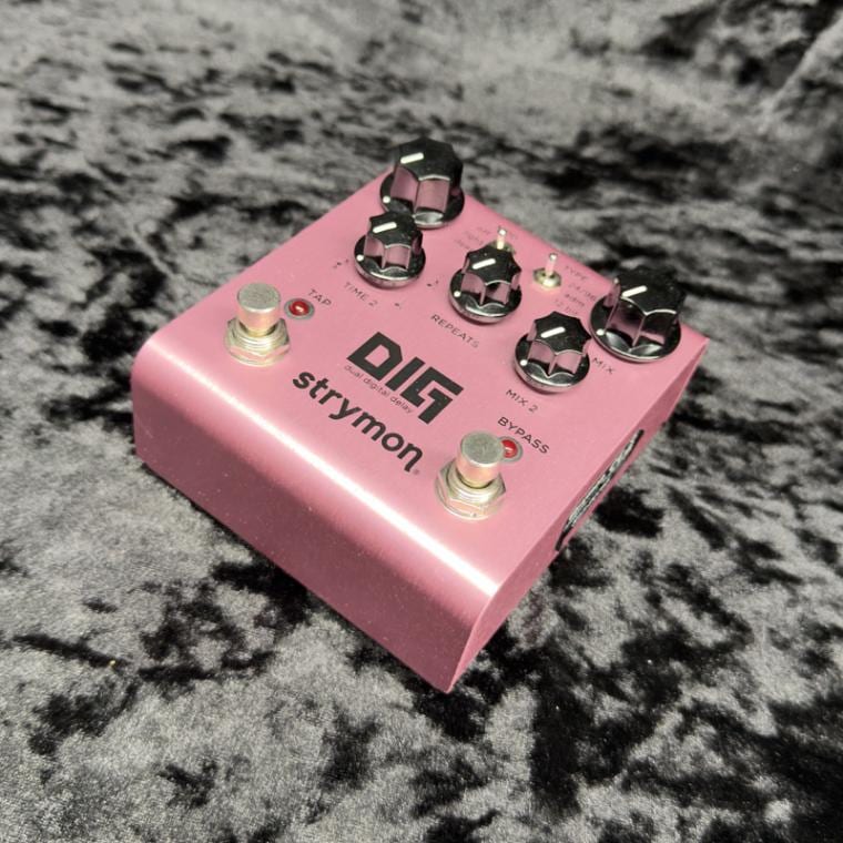 【中古】STRYMON / DIG 【新宿店】【3/13 値下げ！】