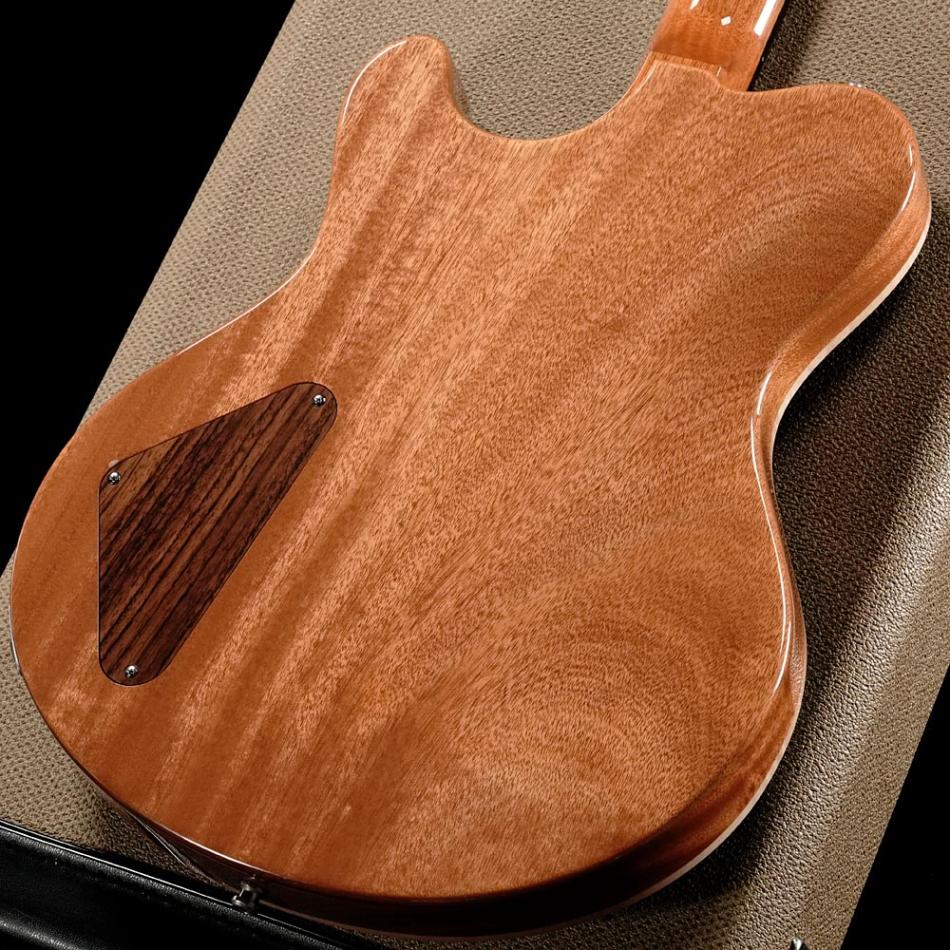 中古】NIK HUBER / Dolphin II Exceptional Flame Maple Top Atrantic