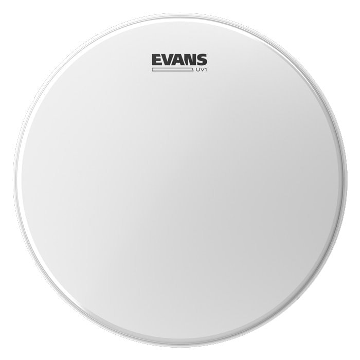 EVANS / B14UV1 Coated Drumhead Single-ply, 10mil 【池袋店】