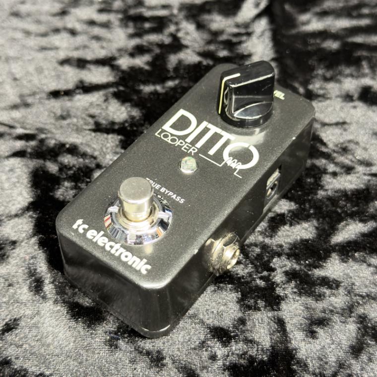 中古】TC ELECTRONIC / Ditto Looper 【新宿店】 | ループサンプラー
