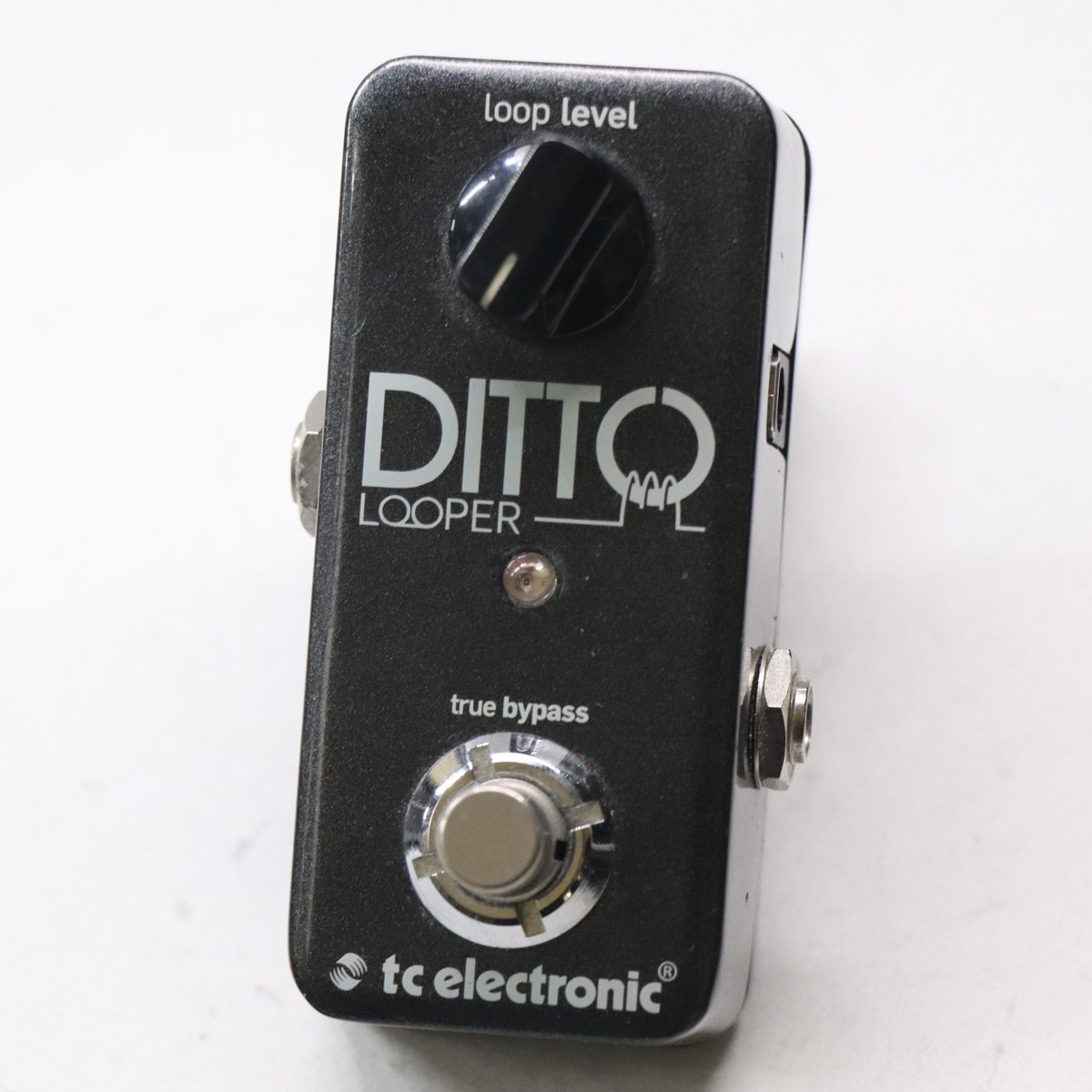 tc electronic / Ditto Looper ルーパー【国内正規品】 | ループ