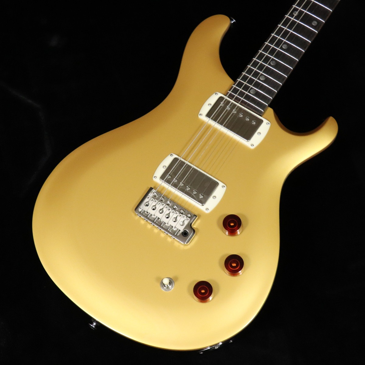 Paul Reed Smith(PRS) / 2025 SE DGT (David Grissom Trem) Moon