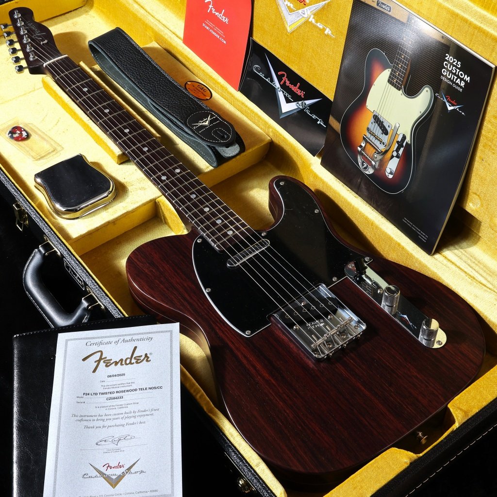 テレキャスタータイプ × FENDER CUSTOM SHOP × その他カラー)の検索