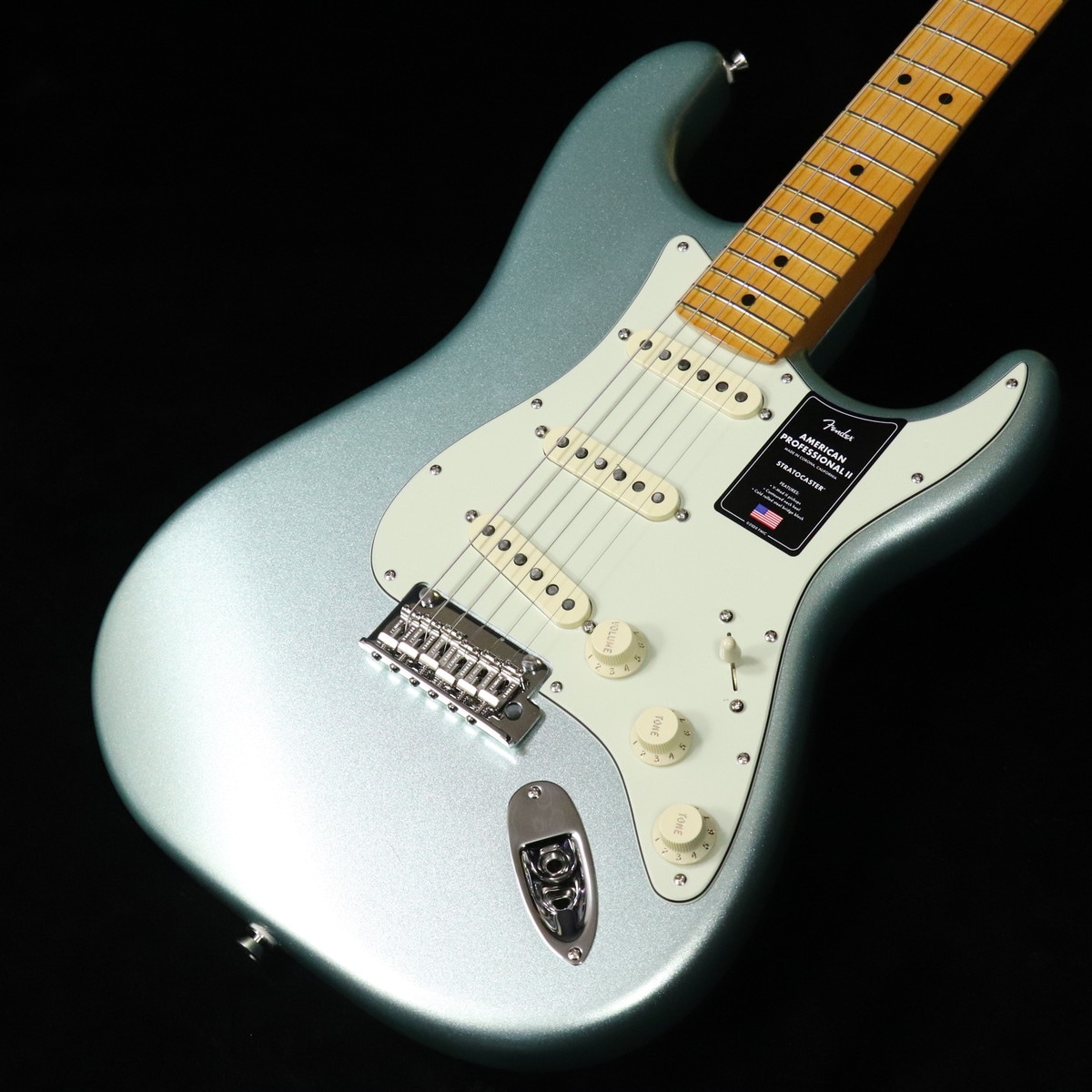 Fender American Professional II Stratocasterの検索結果 | ギター