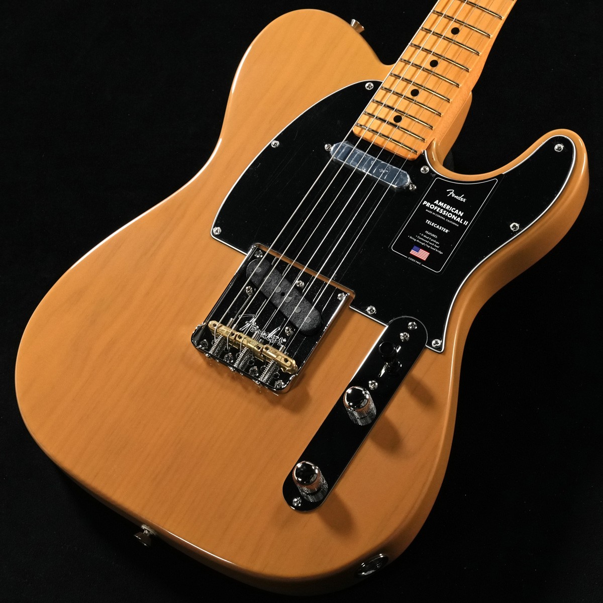 Fender American Professional II Telecasterの検索結果 | ギター