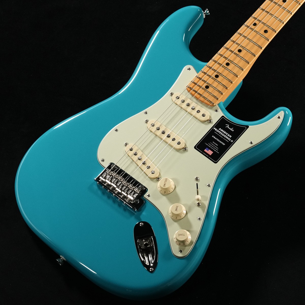 Fender American Professional II Stratocasterの検索結果 | ギター
