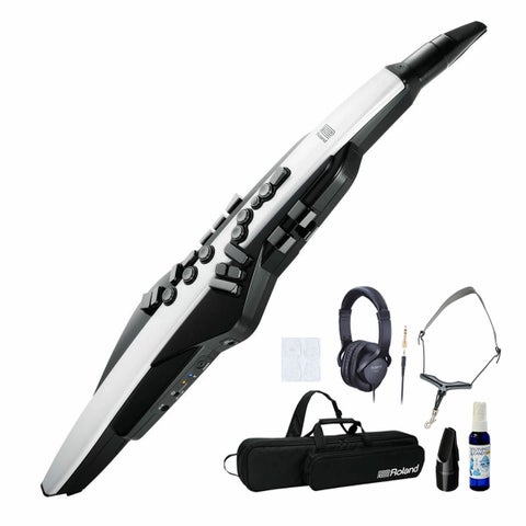 Roland / AEROPHONE AE-20 エアロフォン デジタル管楽器 《オリジナル