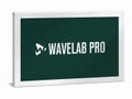 Steinberg スタインバーグ / WaveLab Pro 13 [通常版] (WAVELAB PRO/R)【ダウンロード版メール納品 代引不可】
