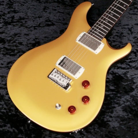 Paul Reed Smith (PRS) / 2025 SE DGT Gold Top Moon Inlays【新宿店】