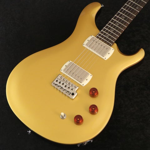 Paul Reed Smith (PRS) / 2025 SE DGT Gold Top(Moon Inlays)【御茶ノ水本店】