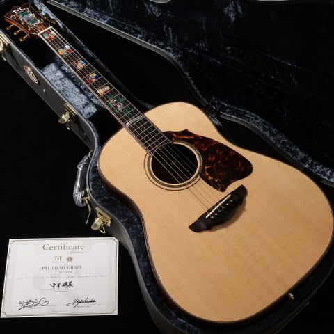 TERRYS TERRY / PTJ-100 MS  GRAPE 50th 【Harvest_Guitars】 【御茶ノ水本店】