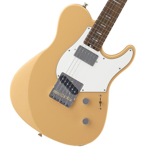 テレキャスタータイプ | イシバシ楽器