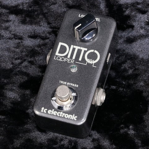 中古】TC ELECTRONIC / Ditto Looper 【新宿店】 | ループサンプラー