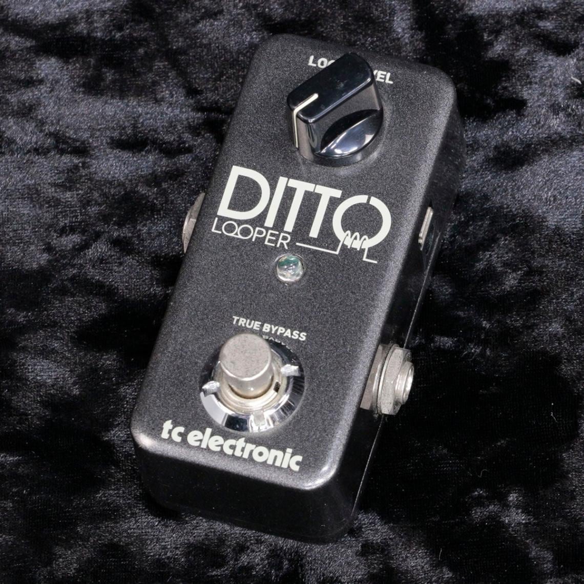 中古】TC ELECTRONIC / Ditto Looper 【新宿店】 | ループサンプラー