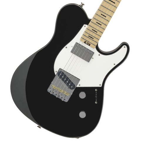 テレキャスタータイプ × ブラック × 実物写真)の検索結果 | ギター