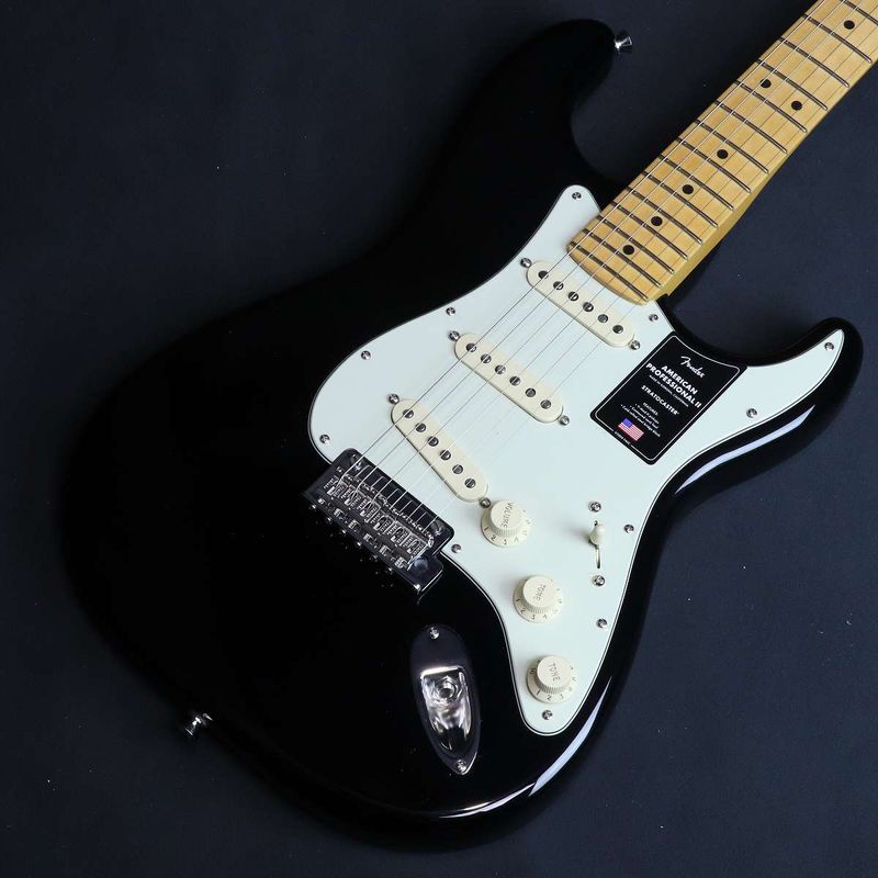 ストラトキャスタータイプ × FENDER × ブラック)の検索結果 | ギター