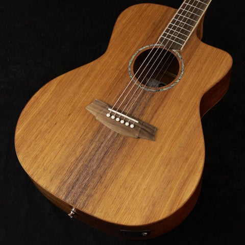 COLE CLARK / AN Grand Auditorium Series CCSAN1EC-BLBL All Blackwood Studio Grade 【御茶ノ水本店】