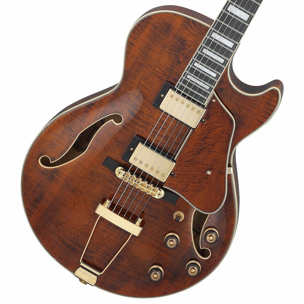 Ibanez / Artcore Expressionist Series AG95MG-DA(Dark Amber