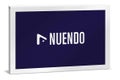 Steinberg スタインバーグ / Nuendo 15 [通常版] (NUENDO/R)【ダウンロード版メール納品 代引不可】