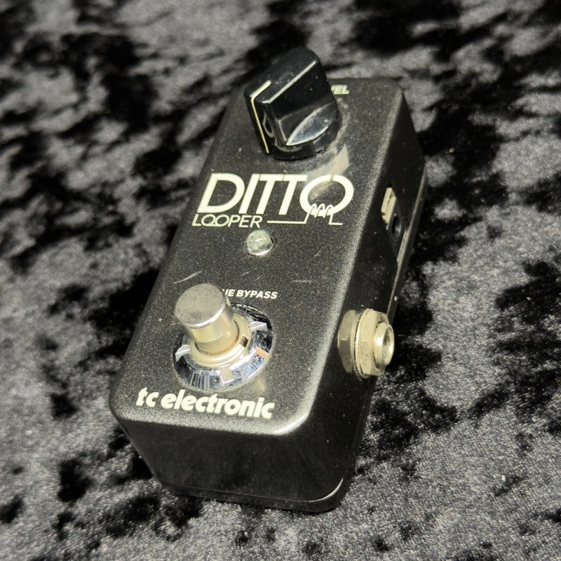中古】TC ELECTRONIC / Ditto Looper 【新宿店】 | ループサンプラー