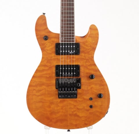 中古】FERNANDES / APG-85S TGL 【御茶ノ水本店】 | その他タイプ