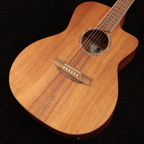 COLE CLARK / AN Grand Auditorium Series CCSAN1EC-BLBL All Blackwood Studio Grade 【Harvest_Guitars】 【御茶ノ水本店】