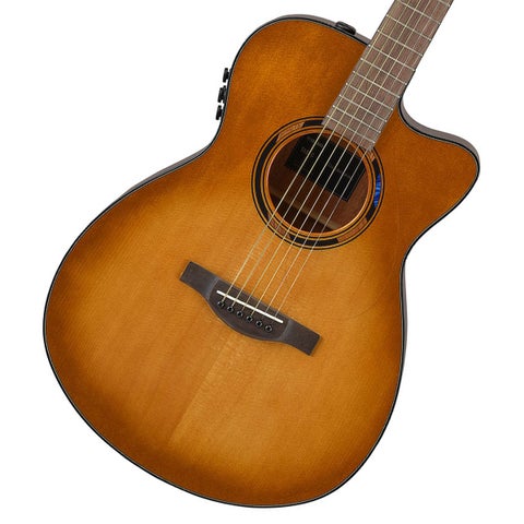 未使用品に近い　アコースティックギター サンバースト ギグバッグ付き 1 (新品 × サンバースト × S：新品)の検索結果 | ギター、アコギ