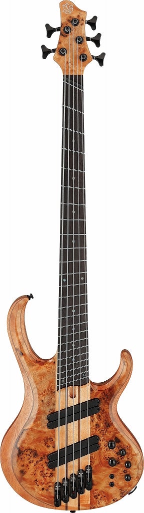 Ibanez / BTB805MS-FNL (Florid Natural Low Gloss) アイバニーズ