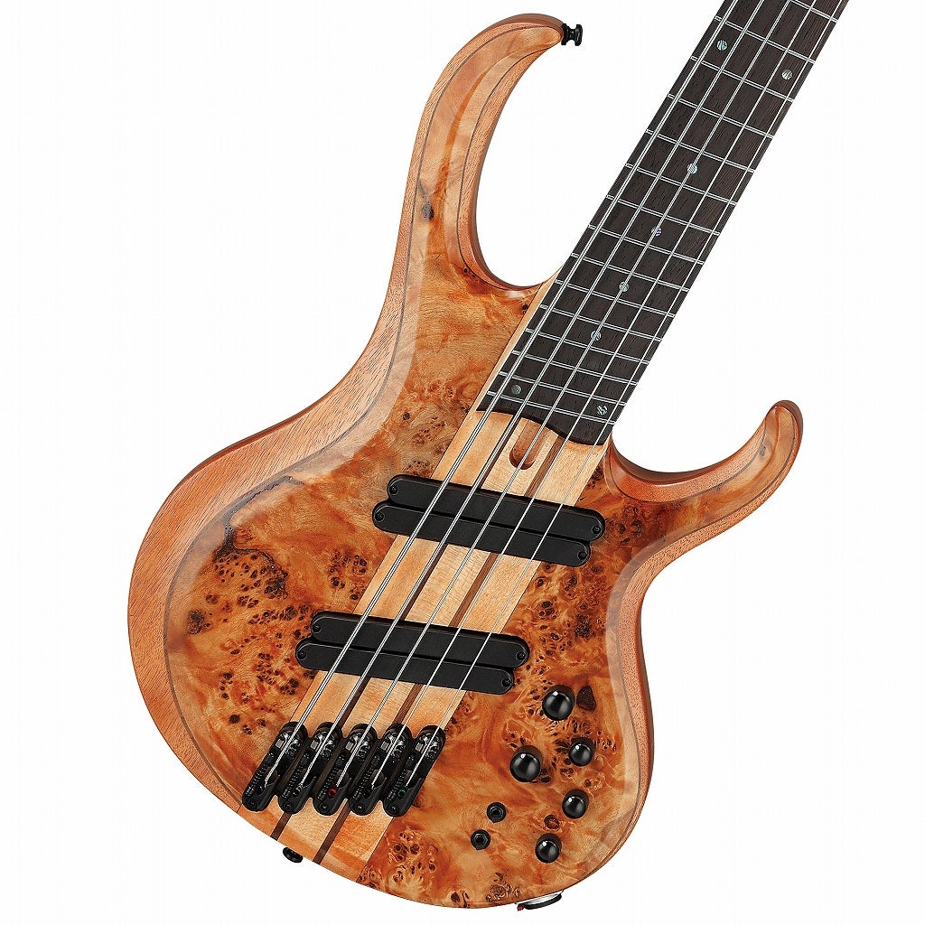 ベース　 ATELIER Z Musician's Modelシリーズ 5弦エレキベースX-50 TP-BLK