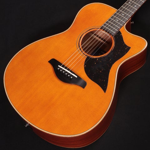 YAMAHA / AC5M ARE VN (Vintage Natural) ≪S/N:IKY263A≫ 【心斎橋店