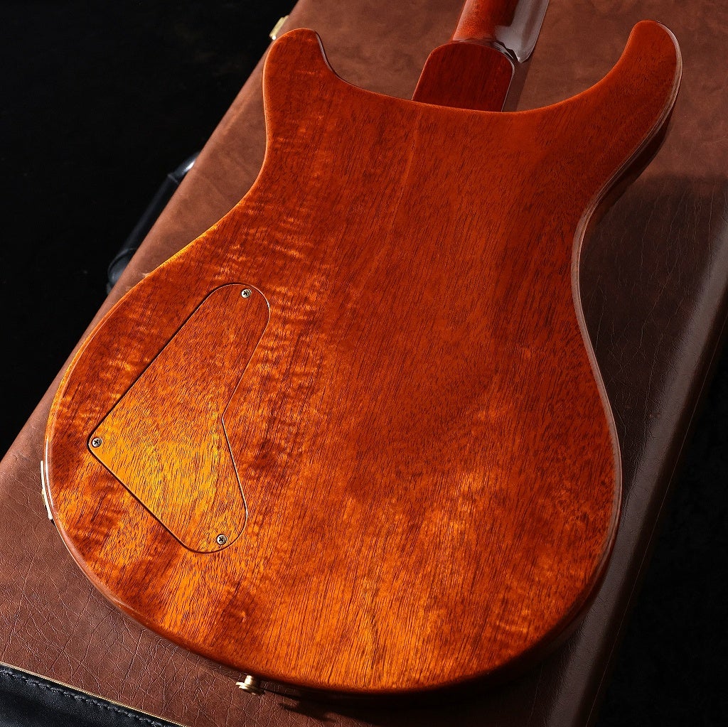 Paul Reed Smith (PRS) / 2014 Private Stock #5199 Paul's Guitar Dirty Blonde 【오차노미즈 본점】【가격 인하】 사진 2