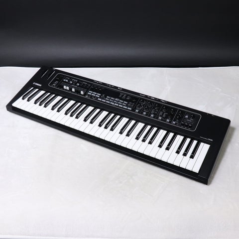 YAMAHA ヤマハ / CK61 61鍵ステージキーボード | ～61鍵盤 | イシバシ楽器