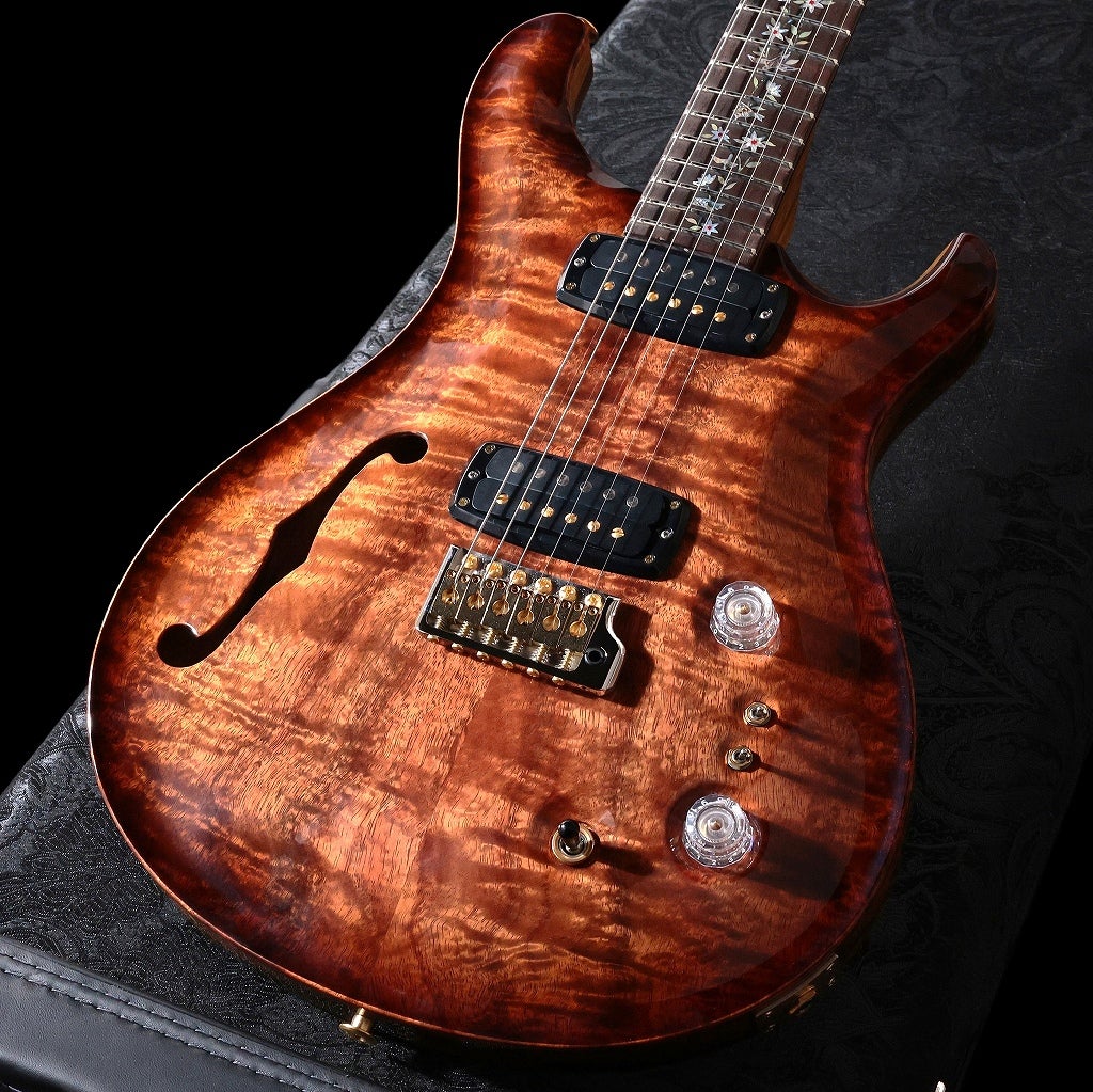 Paul Reed Smith (PRS) / 2024 Private Stock Brazilian #11113 Paul's