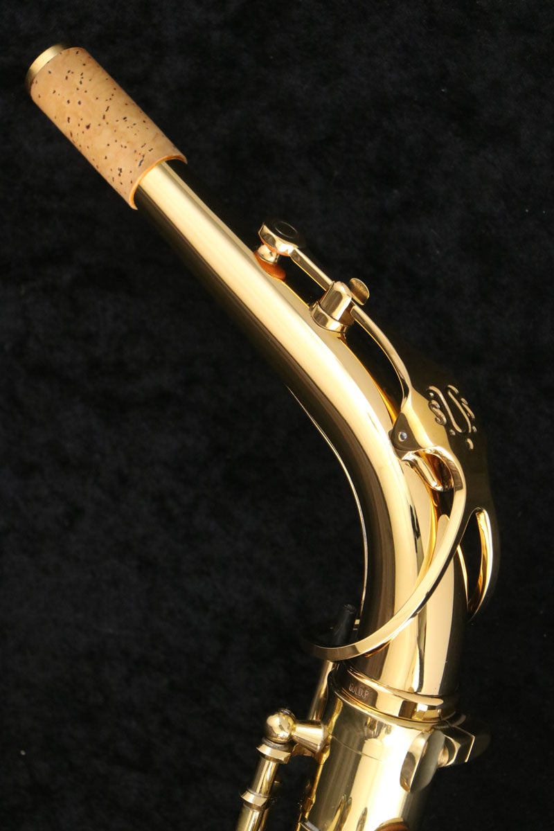 中古】YANAGISAWA / Yanagisawa ヤナギサワ / Alto A-901 GP Neck