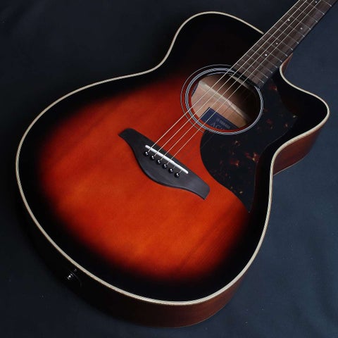 YAMAHA / AC1M Tobacco Sunburst (TBS) ヤマハ アコースティックギター