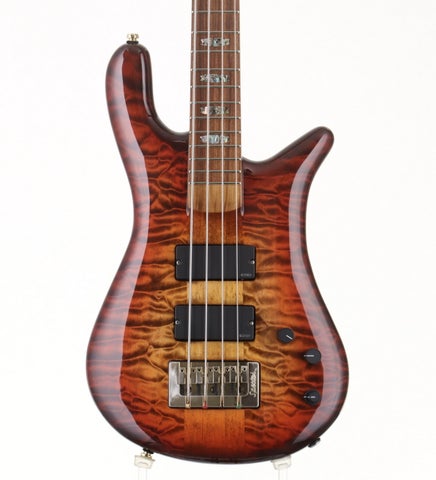 その他タイプ × SPECTOR)の検索結果 | ギター、アコギ、管楽器などを