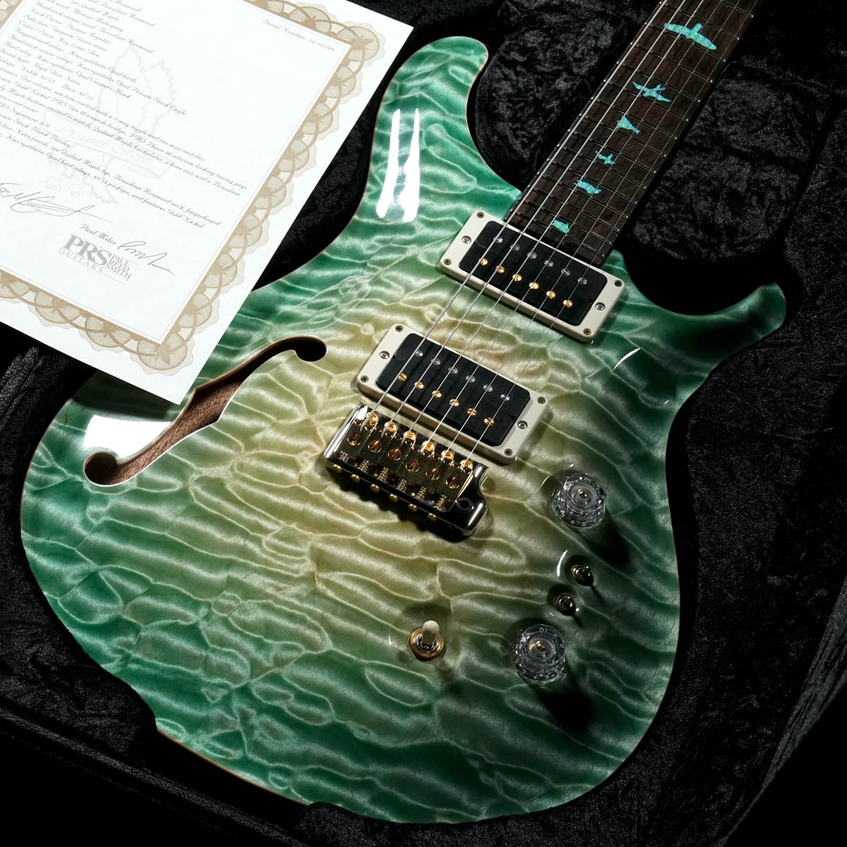 Paul Reed Smith(PRS) / 2024 Private Stock #11046 Custom 24-08 Semi