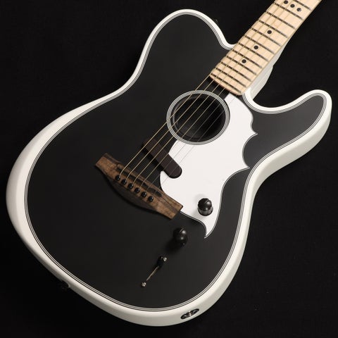 A C E (アコースティックギター × FENDER USA × ホワイト)の検索結果